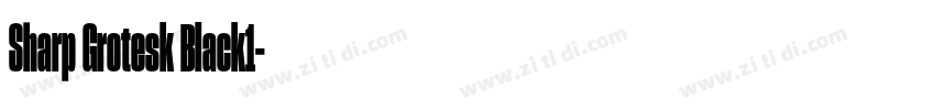 Sharp Grotesk Black1字体转换 Sharp Grotesk Black1字体转换